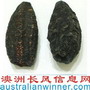 Australia Dried Sea Cucumber